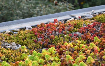 the cost of Sutton Cheney green roof installation